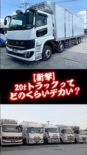 大型トラックの大きさを比較