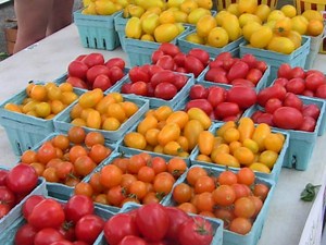 Get Locally Grown Thanksgiving Ingredients At Farmers Market