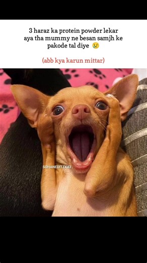 Protein Powder memes#popular#viral#funnymemes#tweetreels#explore