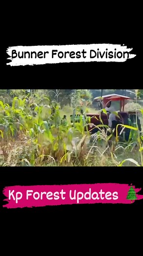 Buner Forest Division successfully reclaimed 85 kanals of forest land from encroachers during an anti-encroachment operation on Sept 22, 2025, with the support of local administration, police & revenue staff. 🌿 #KpForestUpdates #AntiEncroachmentDrive #viralvideochallenge #reelsfypシ #foryoupageシ #ForestProtection #GreenKP #BunerForestDivision @topfans | Kp Forest Updates