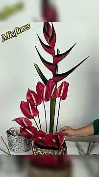 Exotic flowers anthuriums lilies and heliconias