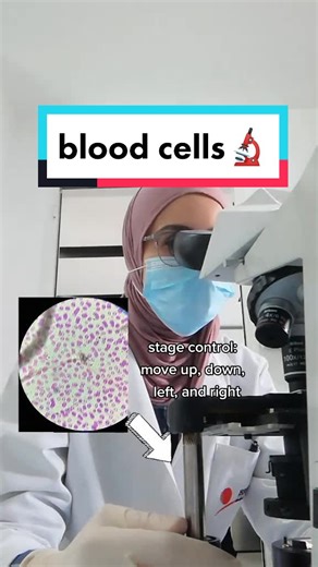 Blood under the microscope🔬#MLT #labtech #labtechnician #laboratoryscientist #biomedicalscience #microscope