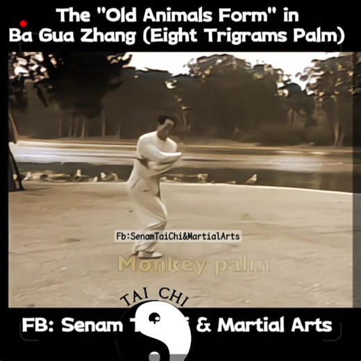 ☯️🌀Master George Xu demonstrates of Old Eight Animals Bagua Zhang Form🌀☯️ The "Old Animals form" (Ba Shou 八手) in Ba Gua Zhang (Eight Trigrams Palm) refers to the core set of eight foundational palm changes, each associated with an animal (Lion, Monkey, Rooster, Dragon, Phoenix, Snake, Bear, Qilin/Unicorn) and an / Ching trigram, that train fundamental body mechanics, intention (Yi), and spiraling energy through circular walking, with variations in hand shapes and body movements to express diff