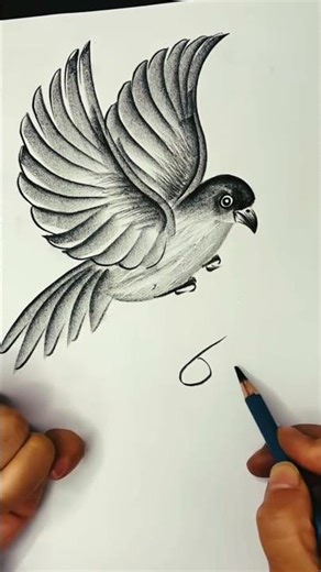 Wait… This Paper Bird Looks Like It’s Flying! 🐦✨ #shorts #viral #drawing #illusion #creative #usa