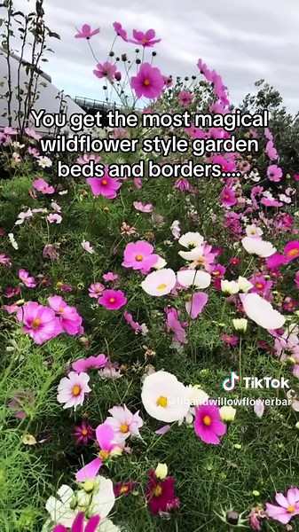 Creating a Magical Wildflower Meadow: A Step-by-Step Guide