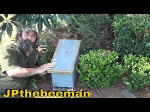 Shaking A Swarm Of Honey Bees