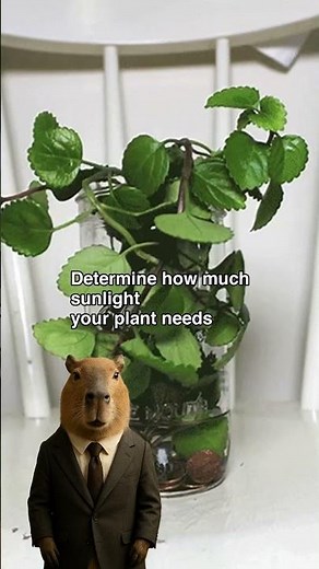 Grow Problem Solving From Scratch
