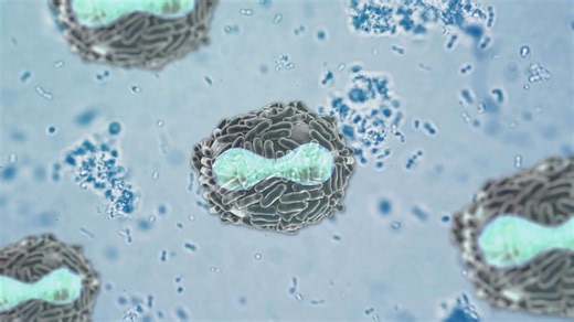 Monkeypox is spreading, and here's how it's being transmitted