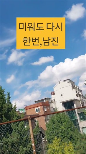 #미워도 다시한번 #원곡 남진 #감성트롯 레전드
