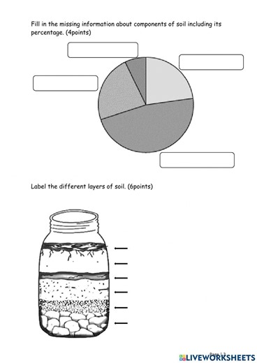 Grade 2 Soil sheet 3 online exercise for