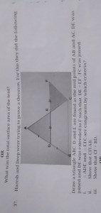 ORWhat was the total surface area of the tent?37. Haresh and ... | Filo