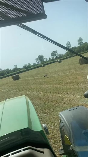 #pourtoi #agriculture #bottelage