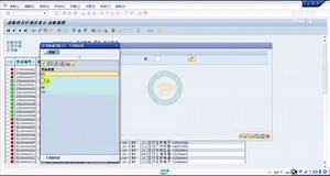 SAP软件 查询科目明细