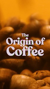 coffee 101 (with emma chamberlain). find the full video on youtube: https://youtu.be/0abMyB_Gu5Q | Chamberlain Coffee | Facebook