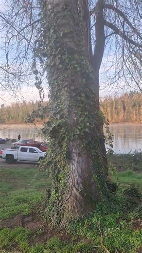Meldrum Bar fishing area
