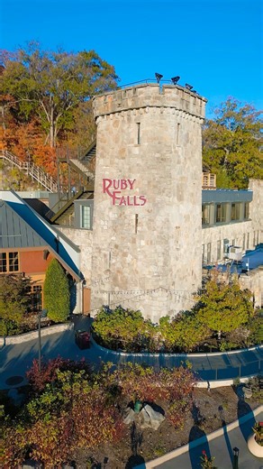 33K views · 358 reactions | Who else is fallin’ in love with Ruby Falls this fall season  : Ruby Falls Cave #visitchatt #chattanooga #tennessee #rubyfalls #fallleaves | Visit Chattanooga | Facebook