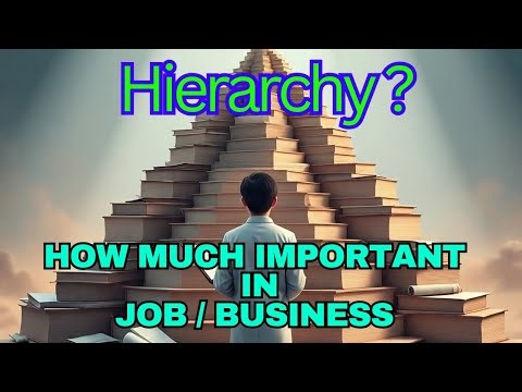 What is Hierarchy? How does it affect business