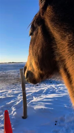 MTN BUILT USA on Reels