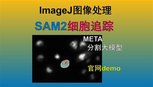 『超实用』ImageJ图像处理 - AI大模型SAM2细胞追踪Web Demo