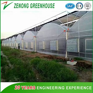 [Hot Item] Intelligent Agriculture Po Film Greenhouse with Automatic Ventilation/Cooling/Heating/Irrigation System for Large Scale Commercial Planting