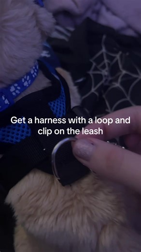 ¿Cómo llevar a tu Essa como un bolso?