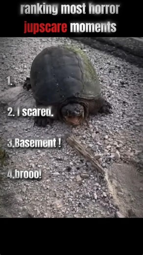 ⚠️Don't Watch This Alone... | Most Terrifying Jumpscares #horror#scary