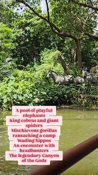 Adventureland in Hong Kong Disneyland| Jungle Cruise Safari| Vihang #hongkong #disneyland