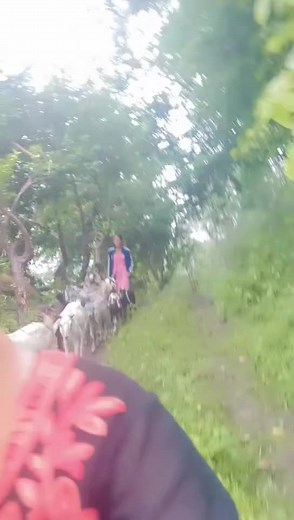 Unlocking the mysteries of ancient Sumerian writing