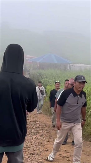 Kaule ban palpa