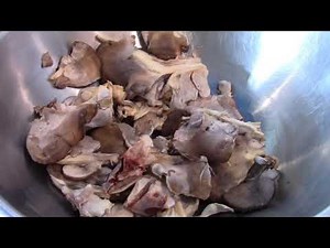 Sheepshead Mushroom Preparing and Storing