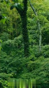 The World’s Most Haunted Buildings — And the Horrors Inside Them