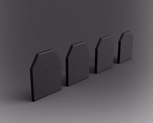 Set of SAPI plates in S M L and XL - Flat