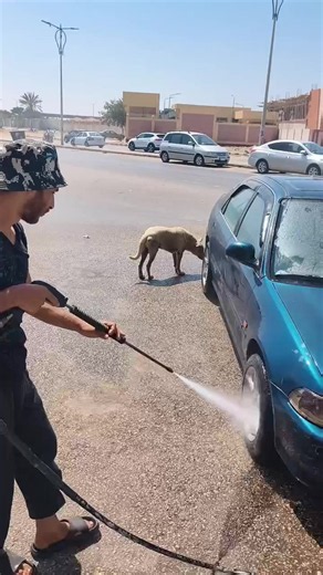 كلب يغسل جوه وبرا في المغسلة السحرية | فيديو مضحك