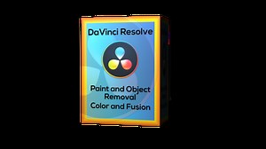 Davinci Resolve 18 - Paint and Object Remova