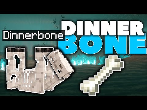 The UNTOLD History of DinnerBone...