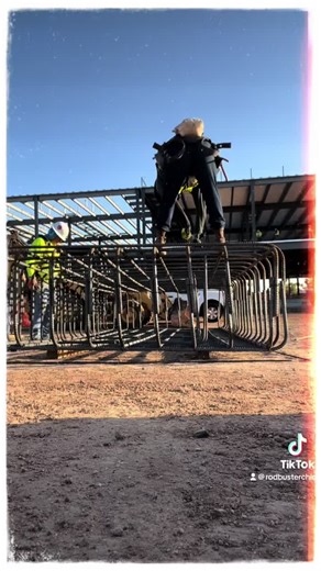 A different kinda breed 👊🏼💪🏼💯 who carries lots of passion, happiness but with a caged🖤 #navajowoman❤️‍🔥 #bluecollarbabe #rodbusters😎👷 #navajotiktok #fypシ