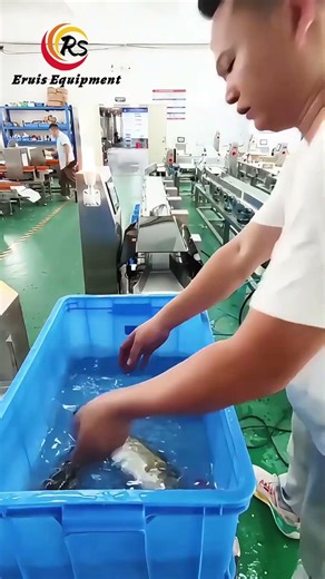 Eruis Weighing & Sorting Machine One System for Every Product