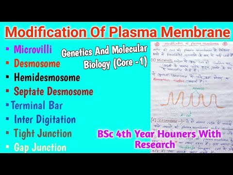 Cell junctions / types of cell junctions Modification of plasma membrane | genetics | BSc 4th year
