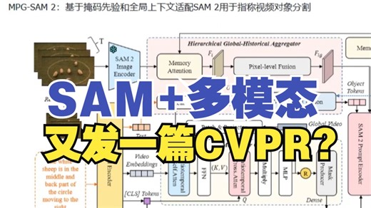 这个idea绝了！SAM结合多模态，又发一篇CVPR！