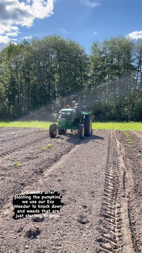 39 reactions · 11 comments | Our weeding machine in action! 2 to 3...