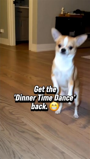 Does your dog’s dinner cost more than your own? 😳 We heard from so many Rottweiler and Great Dane owners who wanted to feed fresh but couldn't afford the $20/day price tag of the big subscription brands. So, we fixed it. At The Family Pet Table, we cut out the fancy marketing fluff and ship in BULK. 📉 You save 40% instantly. 🥩 They get 100% human-grade, scientist-formulated fresh food. Watch the video to see why picky eaters (and even cats!) are making the switch. 👇 Shop the Stockpile here: 