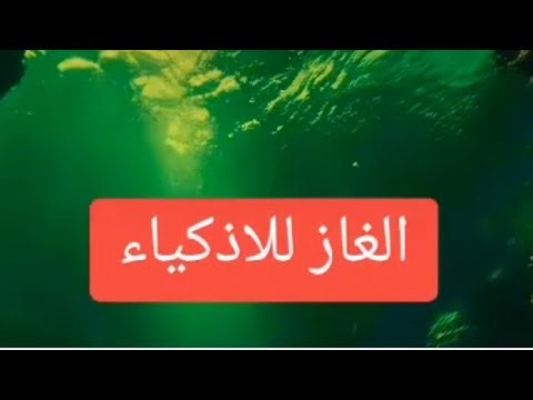 بدأت قناة "Leila vlogs🐳" بثًا مباشرًا🙋‍♀️مرحبا في تحدي جديد🤔👏