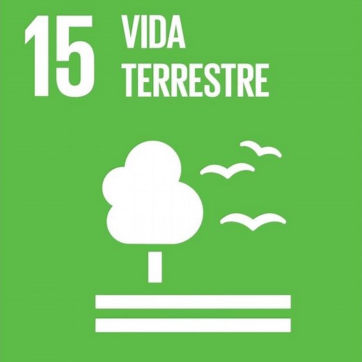 Você sabe o que é a Agenda 2030?