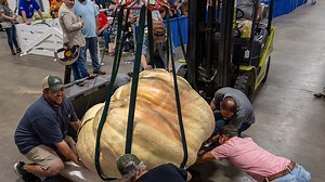 Kentucky State Fair crowns this year's 'great pumpkin'