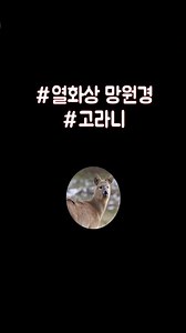 열화상 망원경(Konus Fiery)으로 ㄱ ㅗ ㄹ ㅏ ㄴ ㅣ 를 보면 어떻게 보일까?
