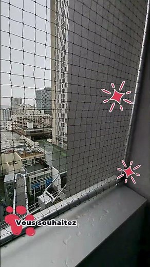 Il redécouvre son balcon… comme si c’était la première fois 🐾