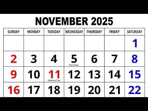 Calendar November 2025 | November Calendar 2025 with Holidays | English Calendar | 2025 Calendar