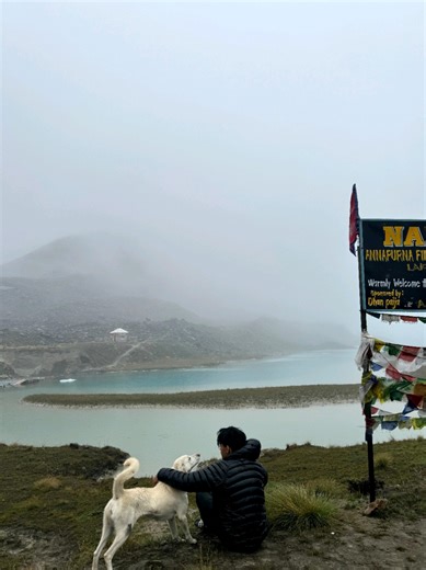 A Memorable Trek to North ABC with a Canine Companion