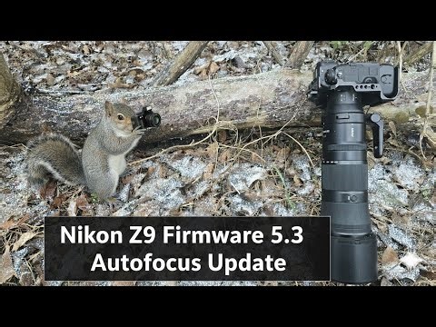 A Welcomed Autofocus Update: Nikon Z9 Firmware 5.3