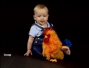 Baby Einstein: Baby MacDonald (Video 2004)